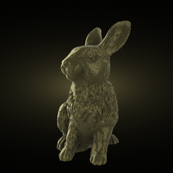 6307.png Rabbit