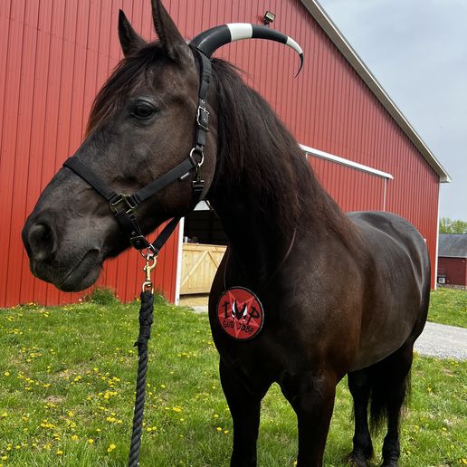 Cornes Helluva Boss Blitzos avec serre-tête