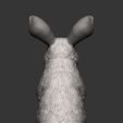 rabbit11.jpg Rabbit 3D print model