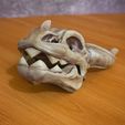 _MG_7275.jpg Stylized Dragon Skull