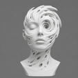 3.png Vortex Face Bust STL | Abstract Parametric Sculpture | Modern Art 3D Print