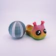 IMG_0753_VSCO.jpg Disco Snail 🪩