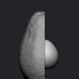 2.png Avocado - half and full