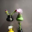 IMG_20251006_184355.jpg 🌸 Vasi da fiori da frigo
