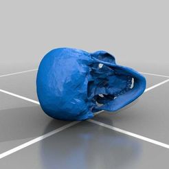 skull_zpr__repaired_.jpg Free STL file RCS Skull・3D print object to download