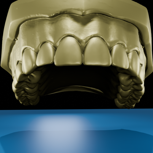 Printable Upper Dental Arch / Teeth Model 🦷 (Anatomy Study)・ STL File ...