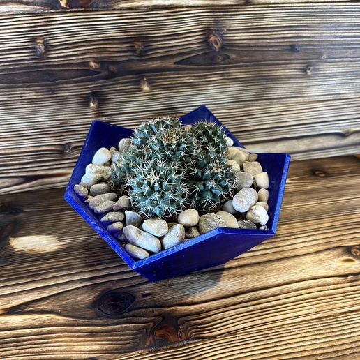 IMG_3980.jpg Maceteros futuristas