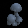 Terrain_Roundcap_Mushrooms_6.png 10 ROUNDCAP MUSHRROMS FOR ENVIRONMENT DIORAMA TABLETOP 1/35 1/24