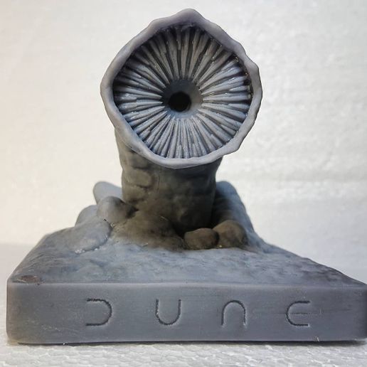 IMG_20210904_205150_199.jpg Ver de sable de la dune 2021