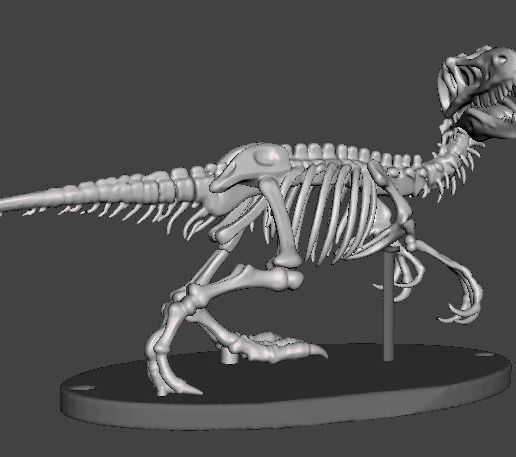 teropodo-1.jpg Skelett eines Theropoden