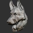 BPR_Composite1.jpg German Shepherd 3D Head Relief Sculpture 3D model .STL