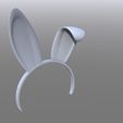 oreilles001.jpg Ears for Easter eggs, cats, dogs, humans, rabbits...