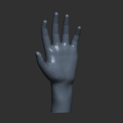 8.jpg Rigging Hand model, rigging hand model