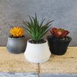 trio-with-flowers-1.jpeg Flared Bottom Ribbed Succulent Planter