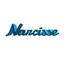 Narcisse.jpg Файл STL Narcisse・Шаблон для 3D-печати для загрузки