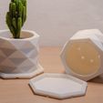 1NK_1682.jpg PolyPot – Plant Pot and Tray