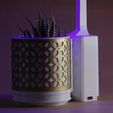 IMG_8090.jpg Lamp Plant pot 🌱💡🔋