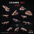 Sets-061.jpg Lizards - Basing Bits