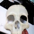 Mask_skull.jpg Download free STL file Mask Skull • 3D printer model, tamarelle