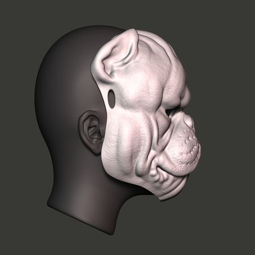♀️ Exotic Bully Mask・ STL File for 3D printing・Cults
