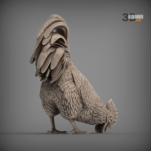 rooster-eats7.jpg El gallo come