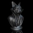 ShopA.jpg French bulldog with cape collar on pedestal