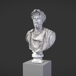 Capture d’écran 2017-11-13 à 14.41.06.png Free OBJ file Bust of Septimus Severus Crowned with Oak・Model to download and 3D print