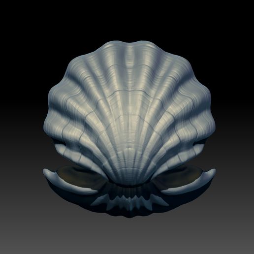 shell-03.jpg Ostra