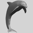 27_TDA0613_Dolphin_03A08.png Dolphin 03
