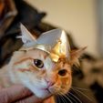 367750872_812667590409333_7502388839108637151_n.jpg Medieval Cat - Helmet / Helmet