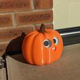 PXL_20221008_143531568.jpg Pumphrey Humpkin - The Goofy Pumpkin