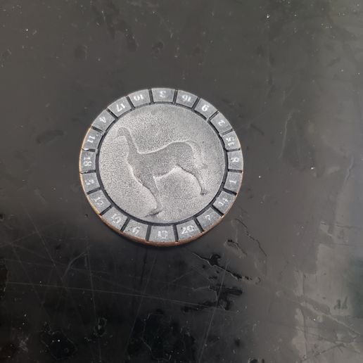 166809433775819211627167353376.jpg D20 Dice Coin