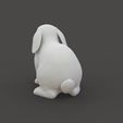 Rabbit_2.4.jpg Rabbit