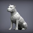 American-Staffordshire-Terrier1.jpg American Staffordshire Terrier 3D print model