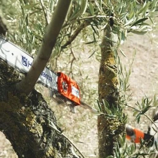 Chonkys Custards Gardening Tools 3D model