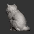 Exotic-Shorthair-Snoopy8.jpg Exotic Shorthair Snoopy cat 3D print model