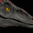 Project21-46.png Pyroraptor head sculpt