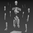 S-20.jpg Terminator T800 Salvation Endoskeleton Pose 1