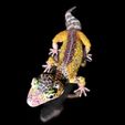 LeopardGecko_BySophie_Szene0004.jpg Leopard Gecko (Color Shape)-STL 3D Print File - with Full-5