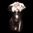8420d10739e728fa871b47c2c4d3f0d0_display_large.jpg Free STL file woman torso sculpture, nude・3D print model to download