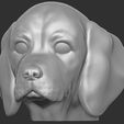 1.jpg Puppy of Beagle dog head for 3D printing