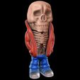 Skeleton-Bobblehead.jpg Skeleton Bobblehead (Easy print and Easy Assembly)