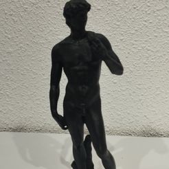 IMG_20240126_193151.jpg Michelangelo's David