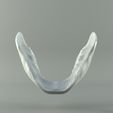 6d4788f1b624e0a9e09535cee1a82692_preview_featured.jpg Archivo STL gratis Cráneo humano・Plan de impresión en 3D para descargar