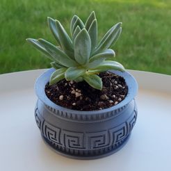 20190810_161401.jpg Файл STL SUCCULENT PLANTERS 1・Шаблон для 3D-печати для загрузки
