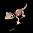 Pachydactylus-Rangei_BodenDark0002.jpg Namib Gecko -Pachydactylus rangaii-with full size texture + Zbrush Originals-STL 3D Print File-High Polygon