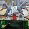 20250615_113635.jpg Falcon model
