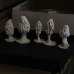 morel_set-5a.jpg Fichier STL champignons morilles lot de 5・Plan à imprimer en 3D à télécharger