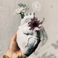 3D-Google-Drive-Google-Chrome-31_5_2023-20_23_43.png anatomical heart vase /// anatomical heart vase