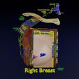image-1-1.jpg breast lymphatic drainage precise  labelled anatomy histology